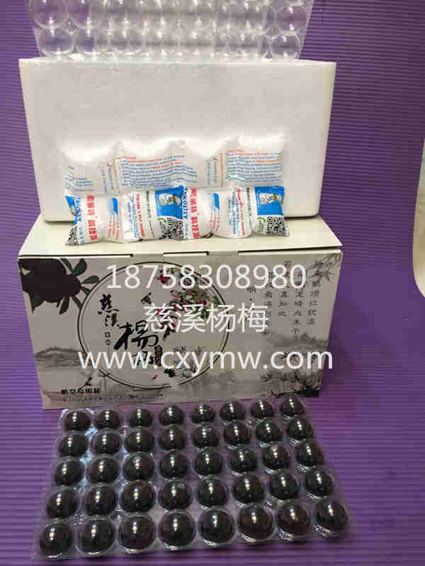 杨梅泡沫箱保鲜包装
