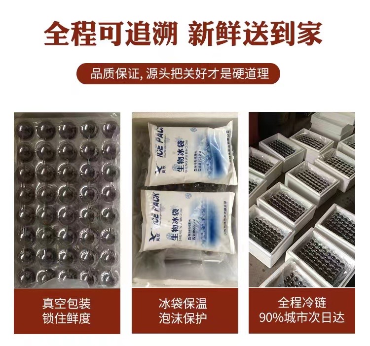 慈溪杨梅顺丰冷链三重保障：真空包装锁鲜、冰袋保温泡沫保护、全程冷链90%城市次日达